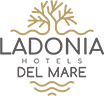 Header Logo